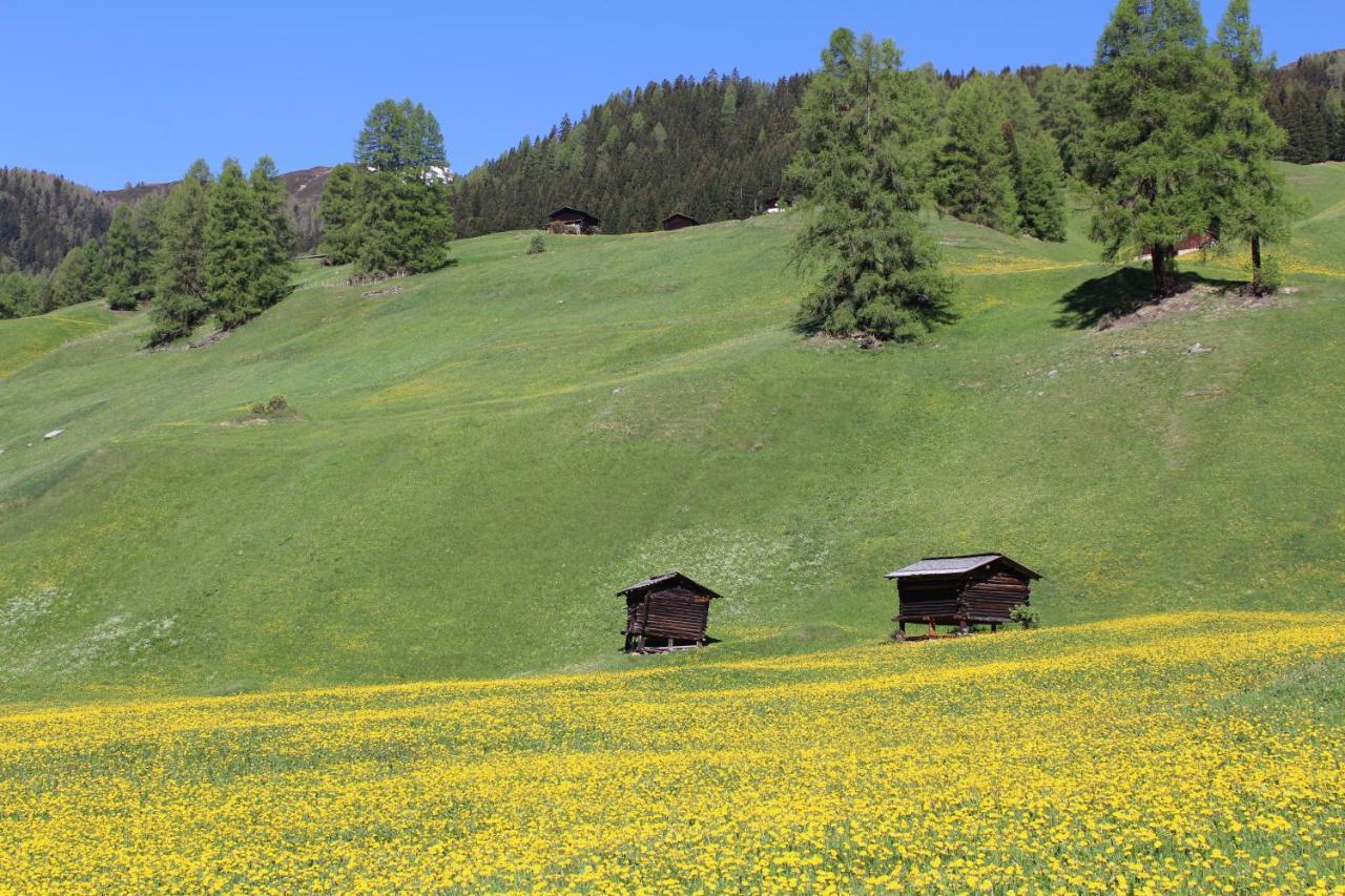 Landhuus Frauenkirch Otel Dış mekan fotoğraf