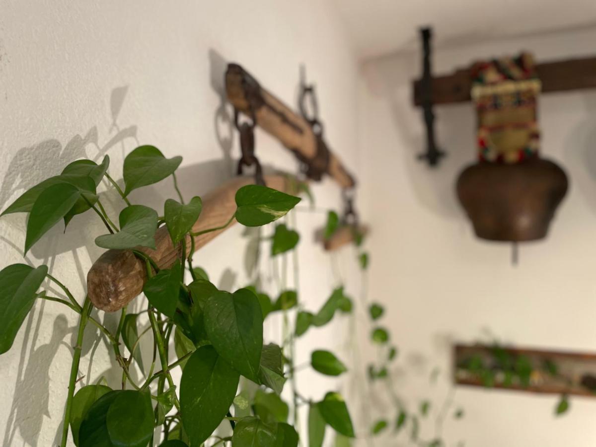 Landhuus Frauenkirch Otel Dış mekan fotoğraf